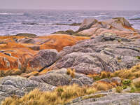 20241004152832_Granite_Boulders_at_Bay_of_Fires